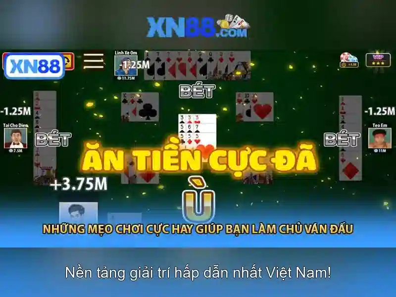 Hướng dẫn tham gia và đăng ký