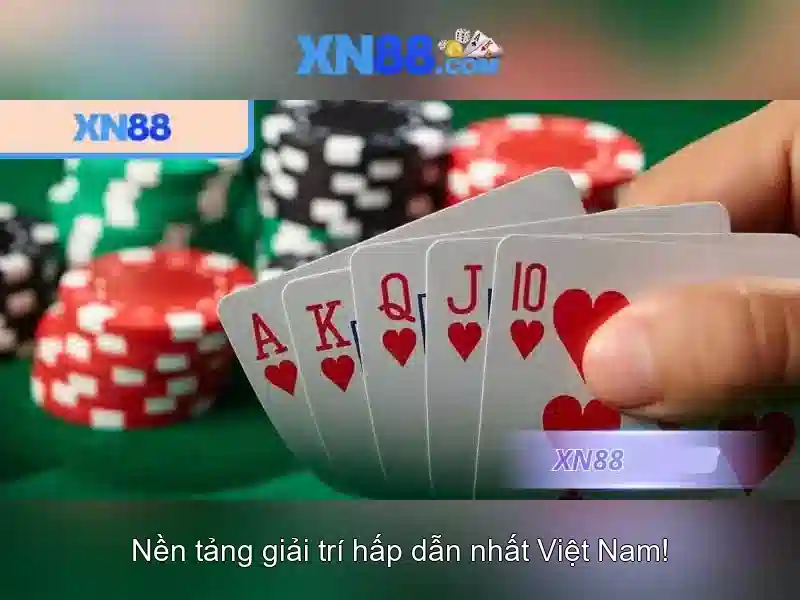 Các tính năng nổi bật