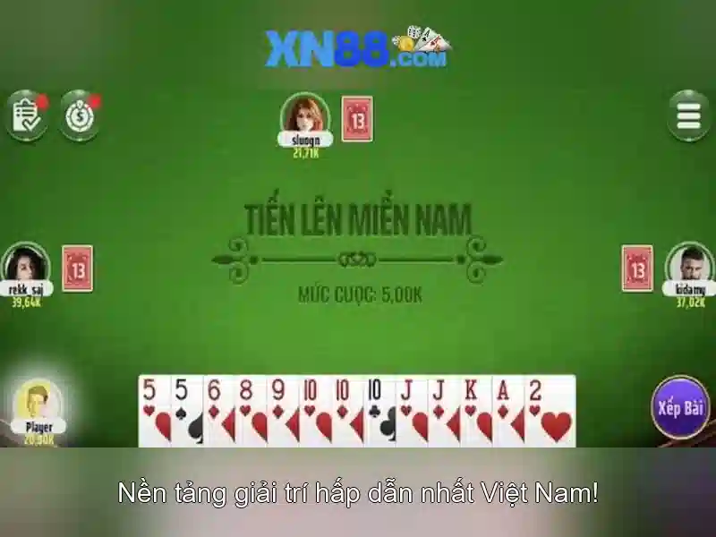 xn88: Nền tảng sáng tạo và phân tích dữ liệu