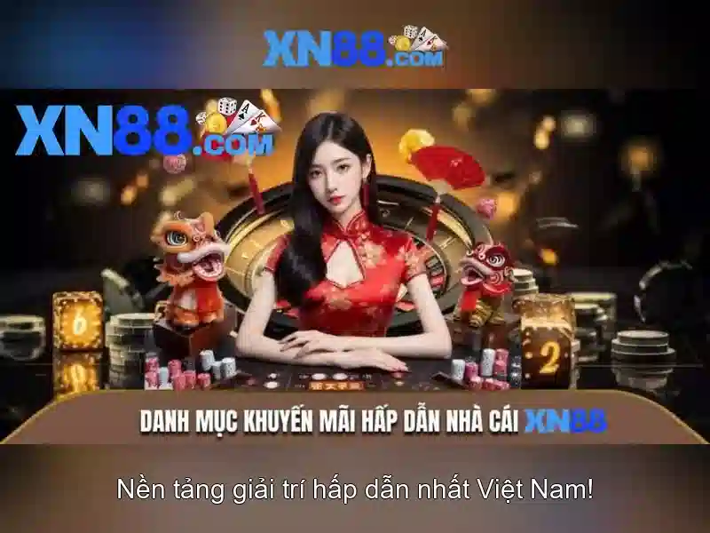 Trải nghiệm người dùng và Phản hồi cộng đồng