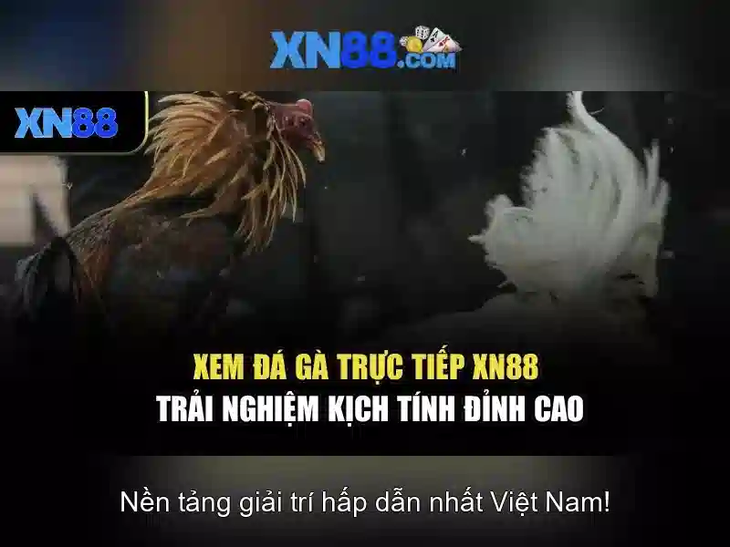 xn88: Tổng quan và đánh giá ngắn gọn
