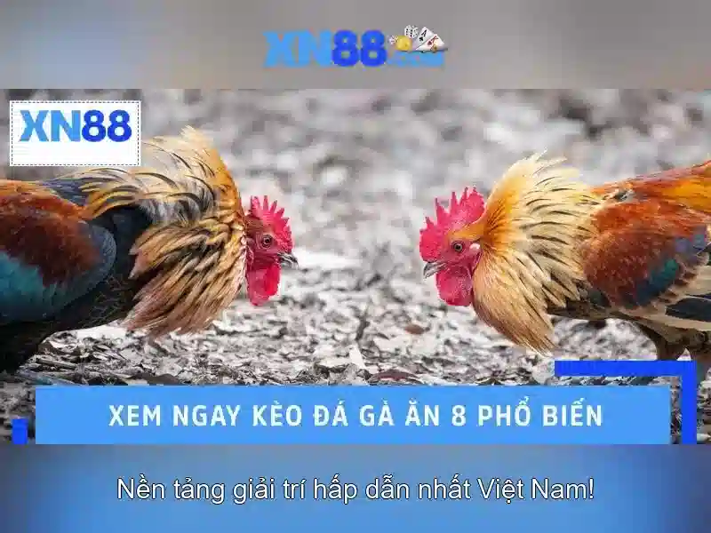 Nguồn gốc và sứ mệnh của xn88 nổ hũ