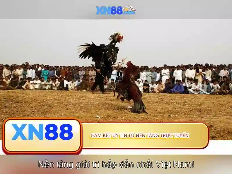 Trải nghiệm người dùng và trò chơi