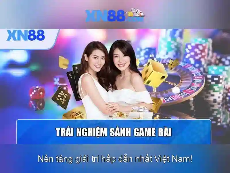 Kinh nghiệm và phản hồi từ cộng đồng