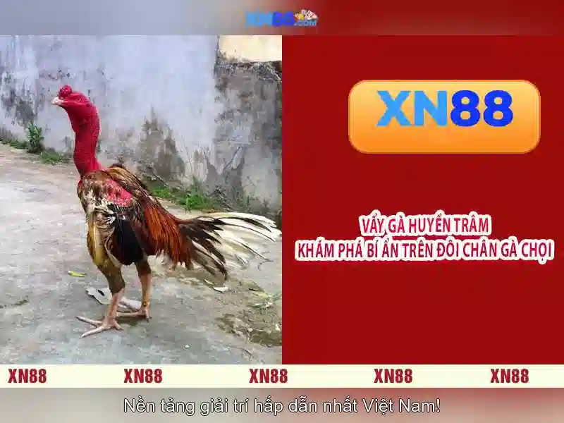 An toàn và bảo mật cho người dùng