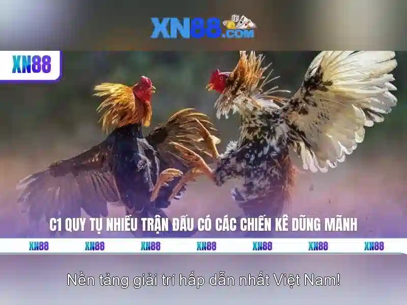 Tổng quan về xn88: Nền tảng cá cược trực tuyến