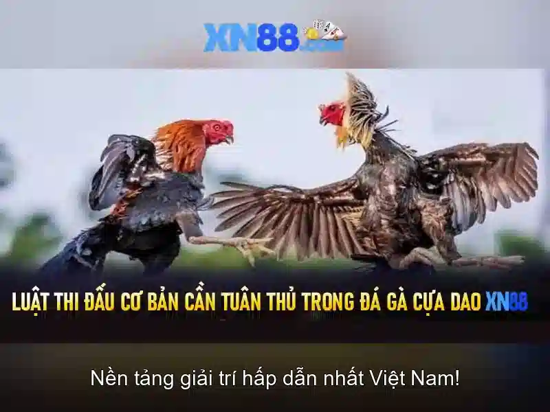 messenger hỗ trợ xn88 – Giải pháp nhắn tin tối ưu