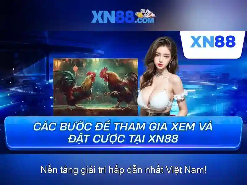 xn88: Tổng quan, an toàn và hướng dẫn tham gia