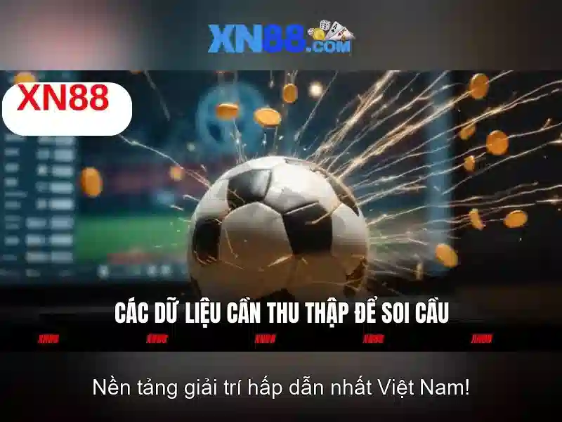 Giới thiệu về xn88