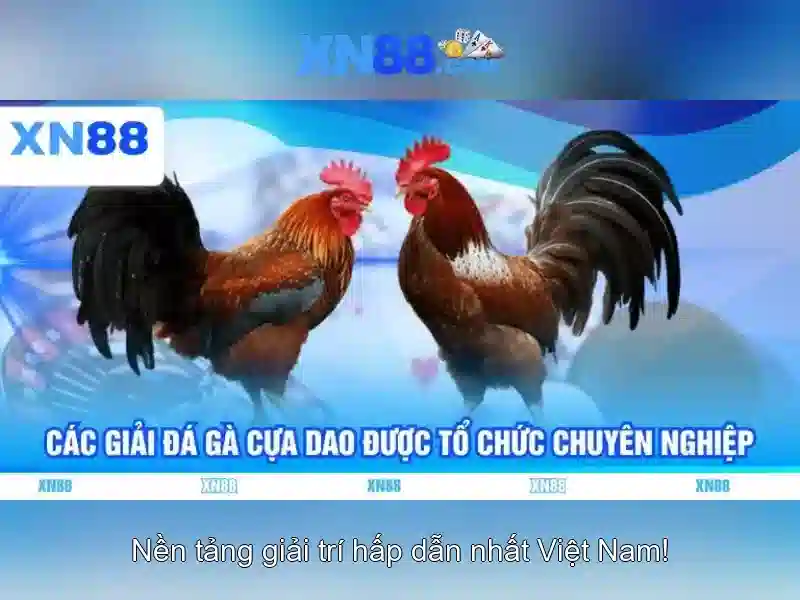 Tính năng chính của XN88
